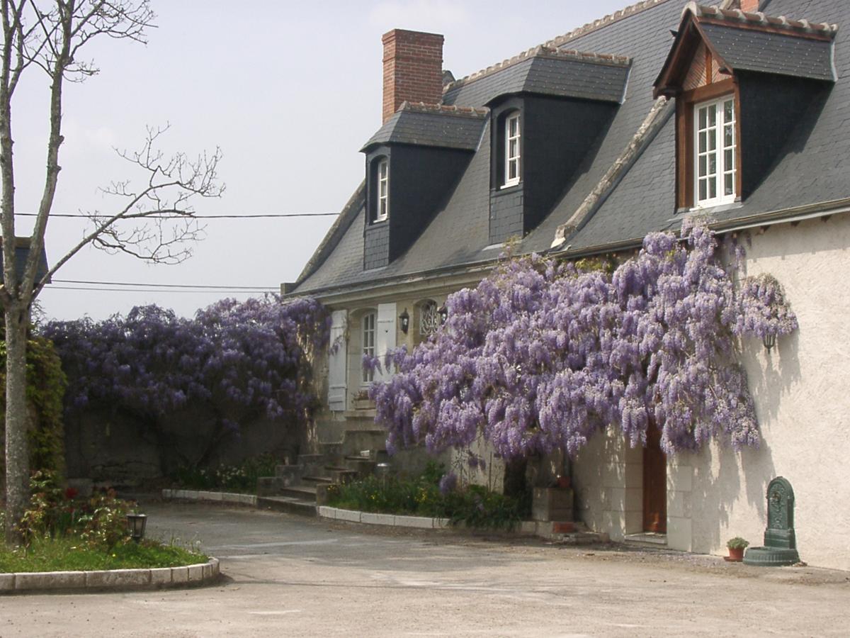 Au Clos De L'Epinay Vouvray Extérieur photo