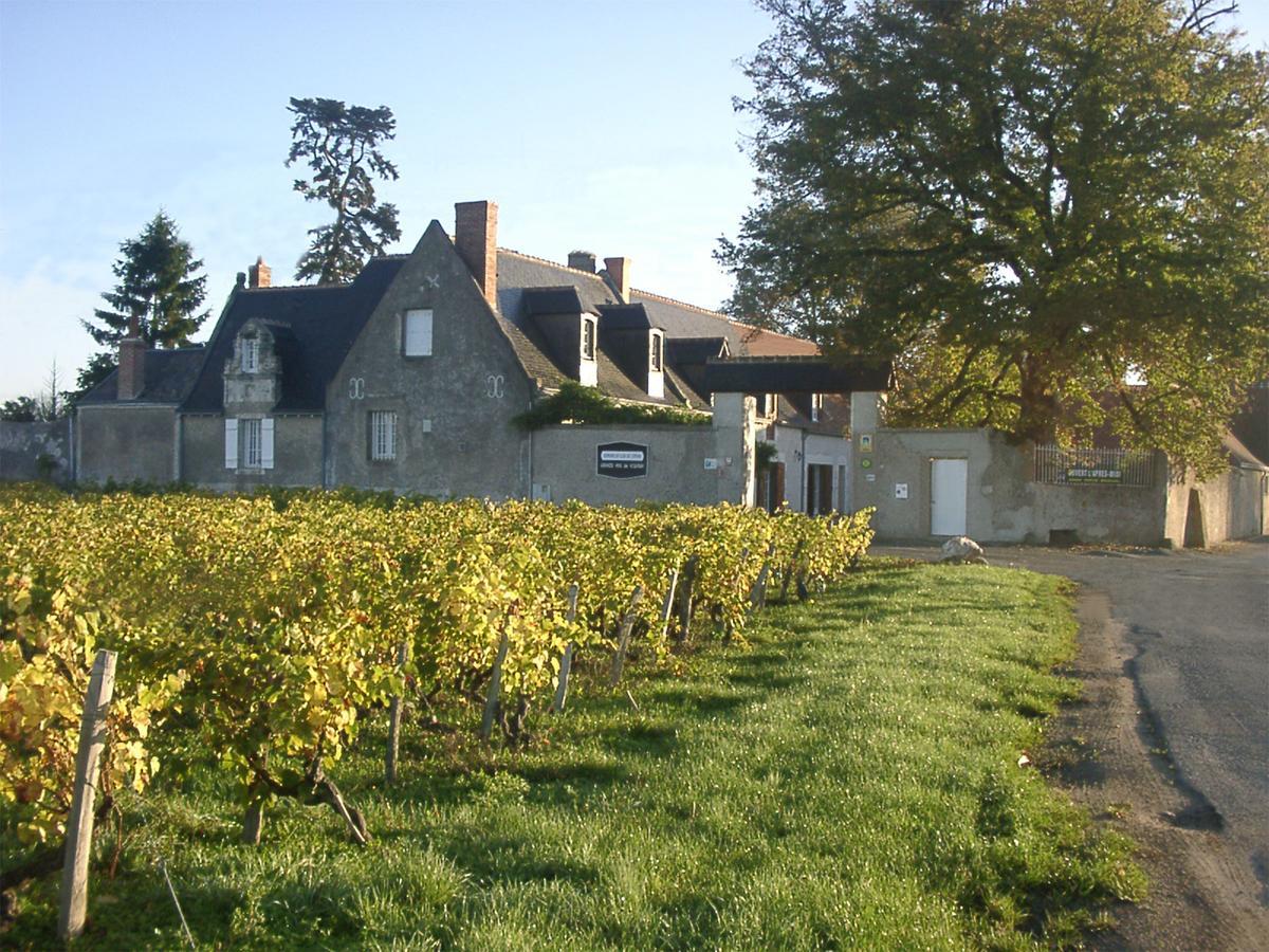 Au Clos De L'Epinay Vouvray Extérieur photo